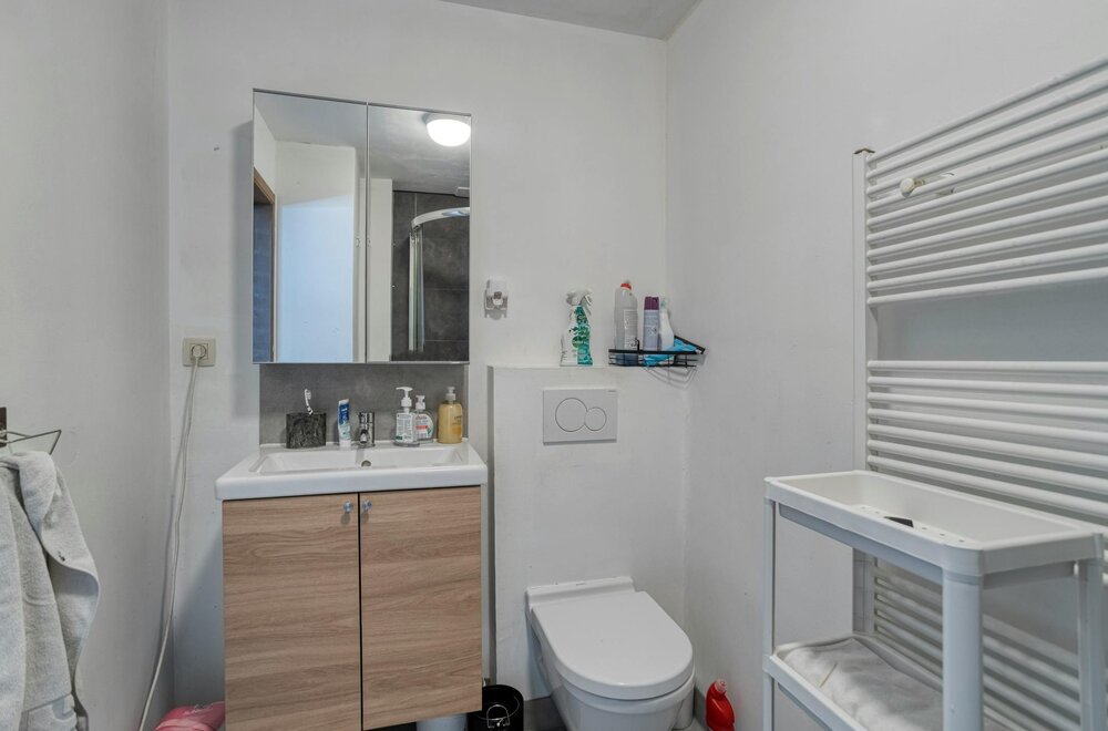 huis-van-ca-220-m-te-koop-in-borgerhout016.jpg