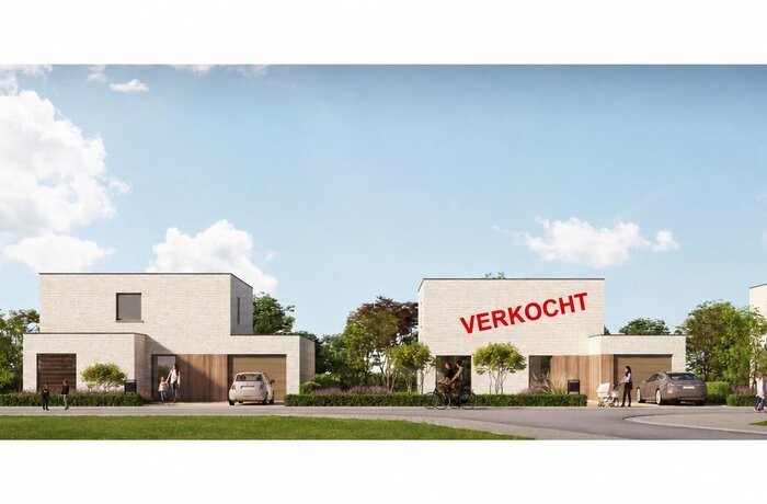 8972 Krombeke