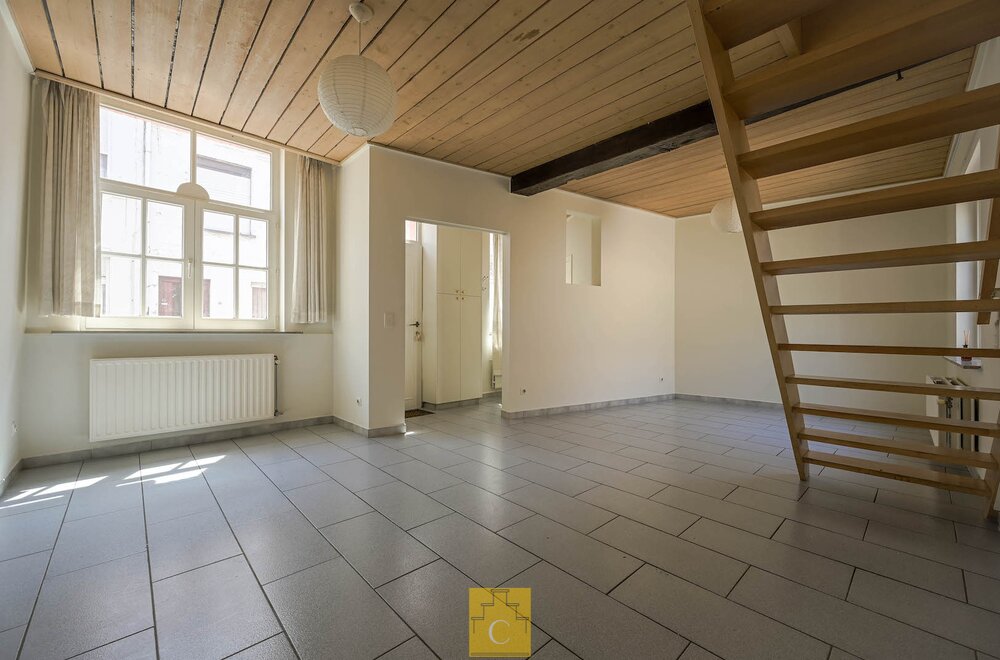 brugs-huis-in-de-schaduw-van-jeruzalemkerk-authentieke-16e-17e-eeuwse-gevel006.jpg