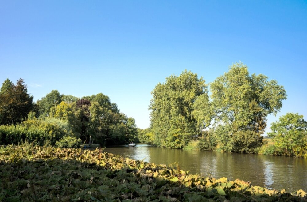 exclusief-domein-aan-de-leie-in-afsnee001.jpg
