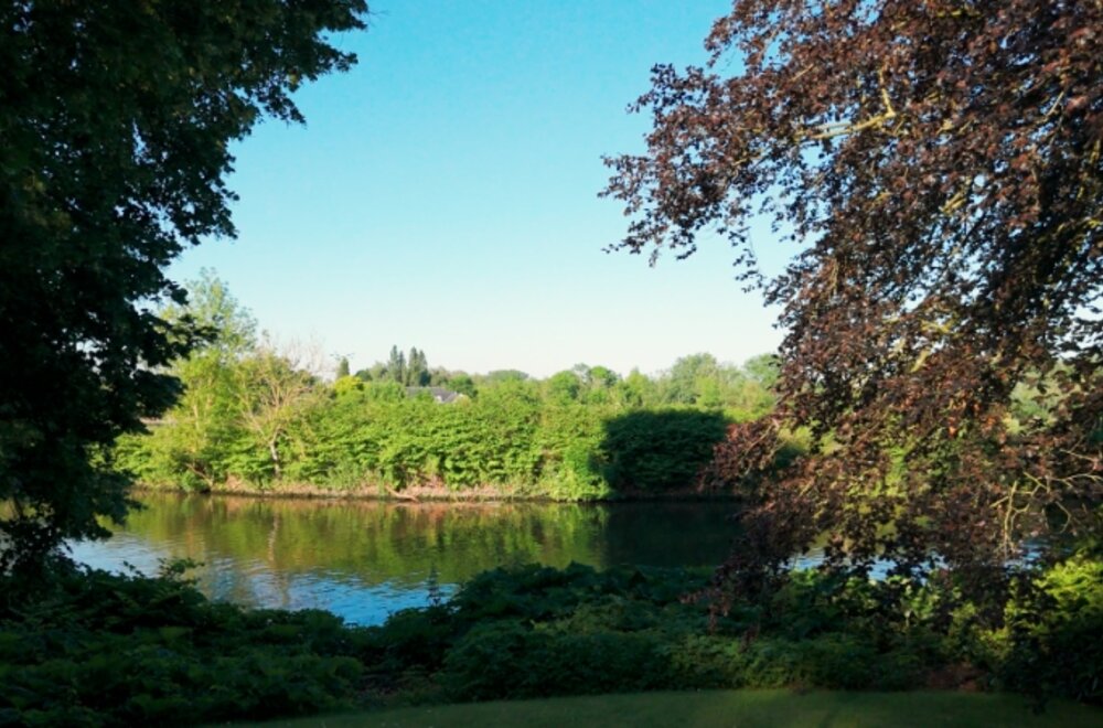 exclusief-domein-aan-de-leie-in-afsnee007.jpg