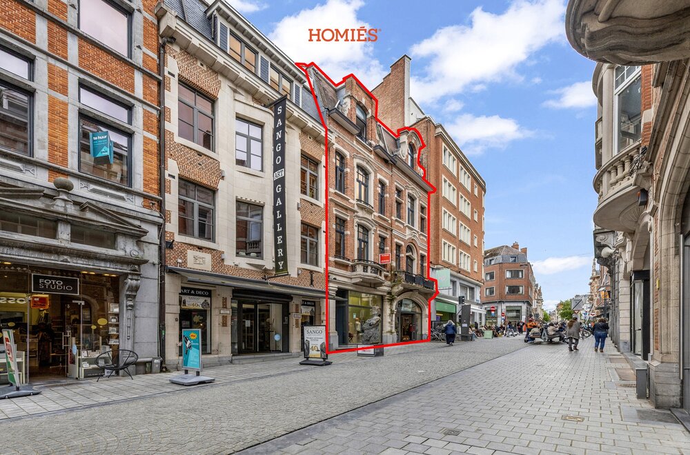 uitzonderlijke-opbrengsteigendom-in-hartje-leuven001.jpg
