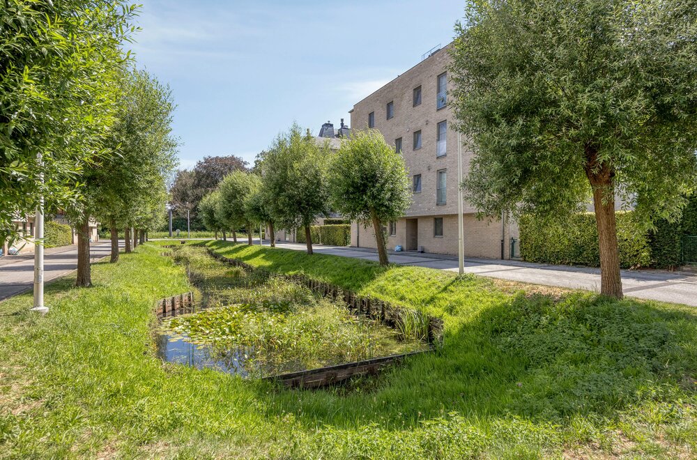 appartement-te-koop-in-burcht021.jpg
