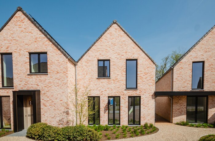 9890 Dikkelvenne