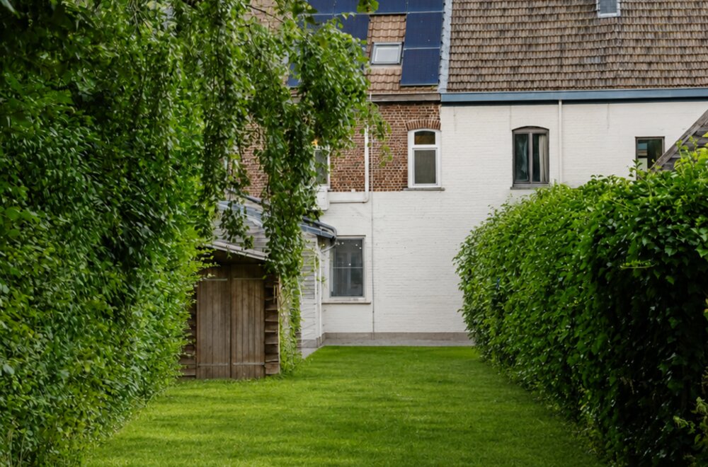 houte-27-oosterzele-balegem-017.jpg