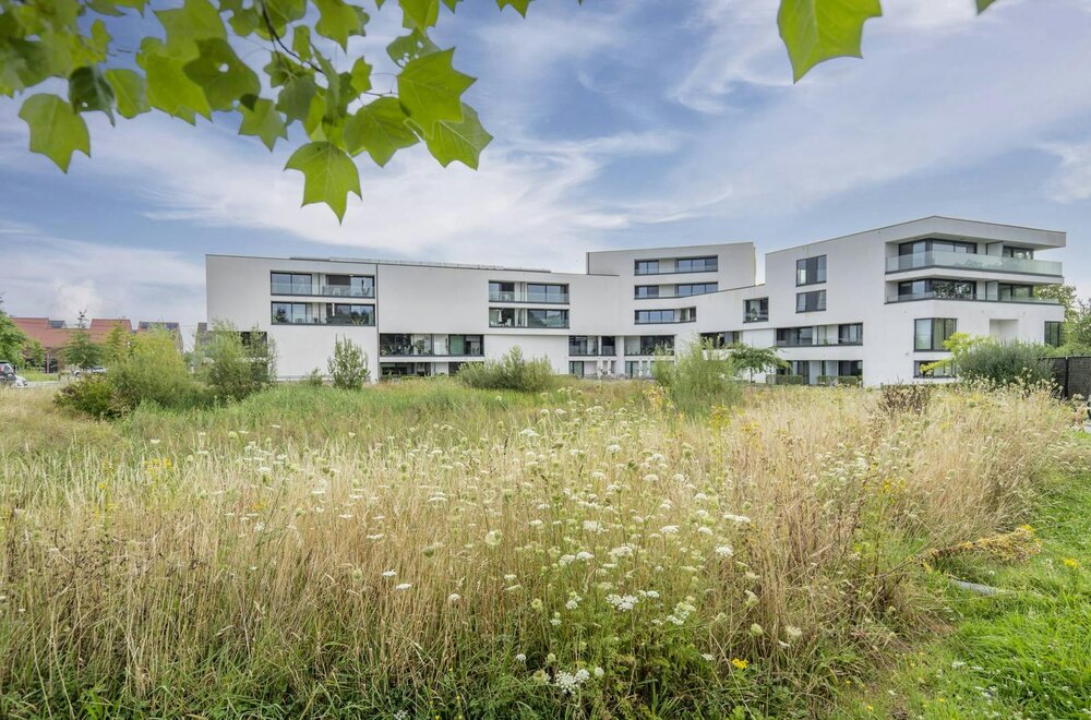verzorgde-assistentiewoning-met-terras-te-zwevegem009.jpg