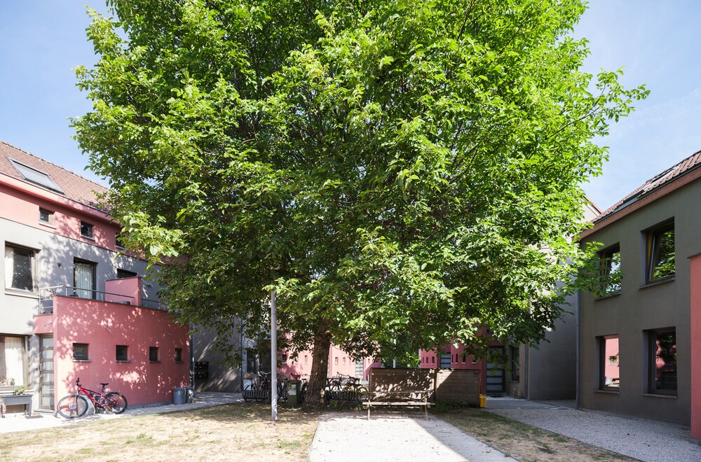 ham-116-9000-gent017.jpg