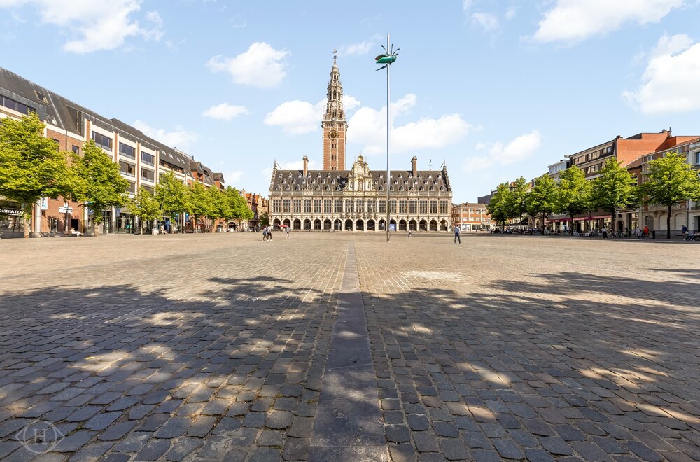 ladeuzeplein-6-commerci-le-ruimtes-burelen002.jpg