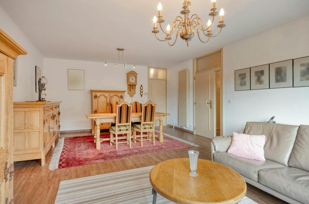 ruim-appartement-te-koop-in-bazel003.jpg