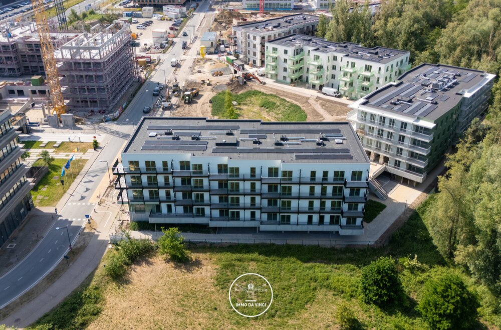 steenanjer-5-0-8007.jpg