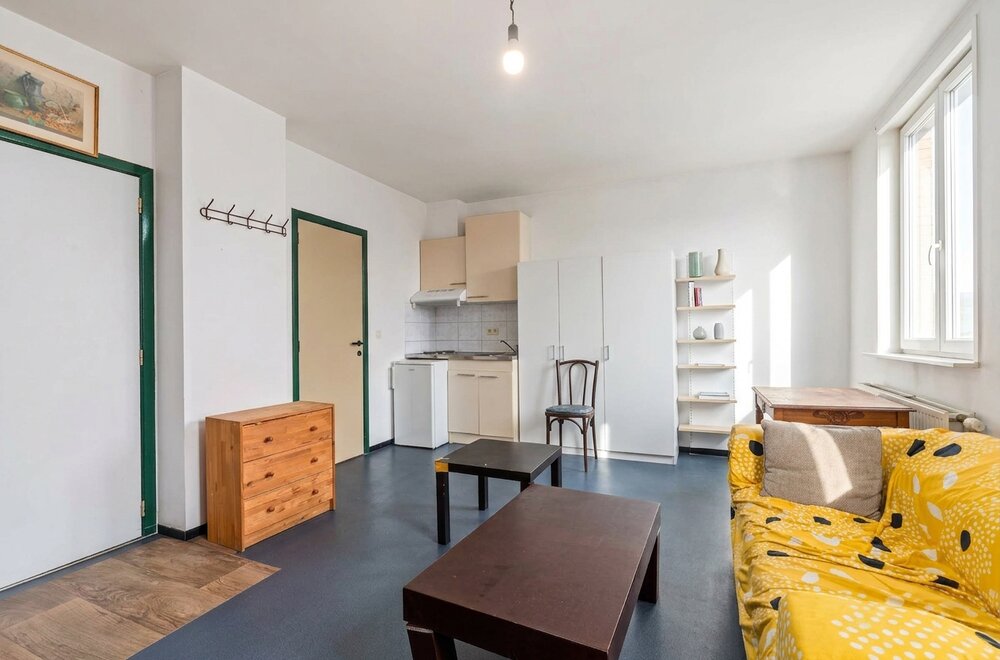 opbrengsteigendom-antwerpen-9-appartementen-en-1-handelzaak004.jpg