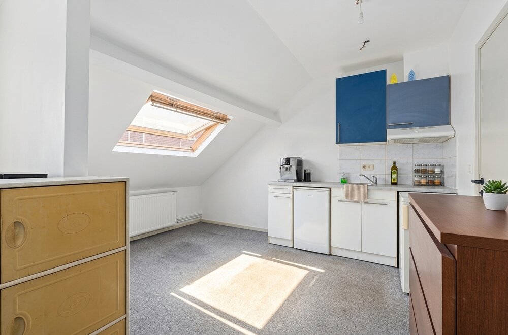 opbrengsteigendom-antwerpen-9-appartementen-en-1-handelzaak009.jpg