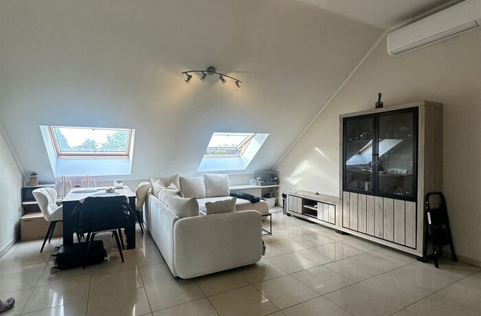 9255 BUGGENHOUT