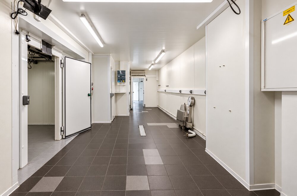 koning-albertstraat-89-zedelgem004.jpg