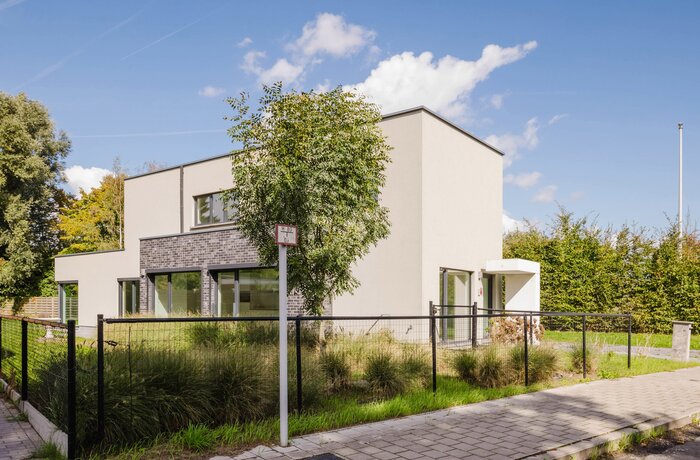 9031 Drongen